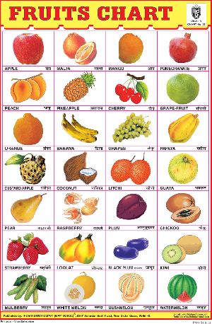 10x14 Inch Educational Wall Chart