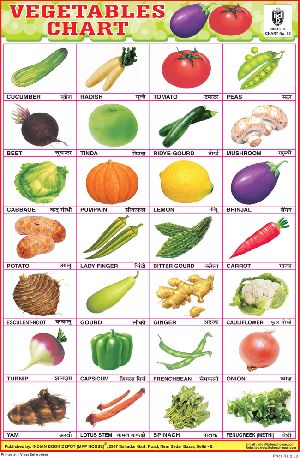 10x14 Inch Educational Wall Chart