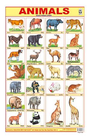 12x18 Inch Hard Laminated Chart