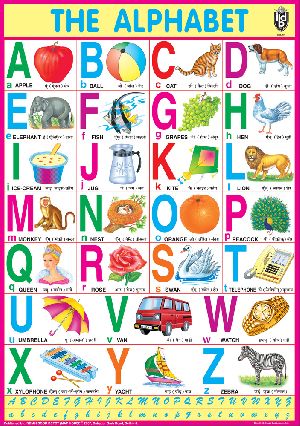 28x40 Inch Educational Wall Chart