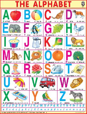 40x54 Inch Educational Wall Chart