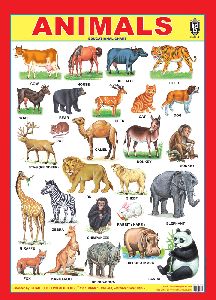Animals 3d Embossed Chart