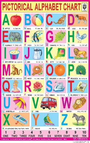 20x30 Inch Educational Wall Chart