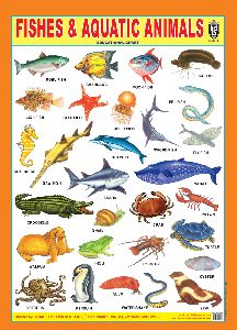 Fishes & Aquatic Animals 3d Embossed Chart