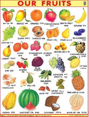 40x54 Inch Educational Wall Chart