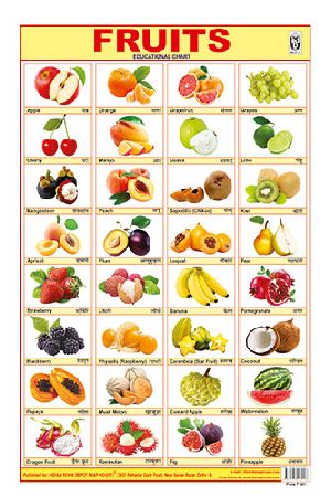 12x18 Inch Hard Laminated Chart