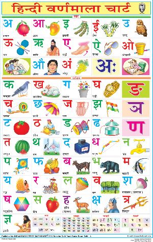 20x30 Inch Educational Wall Chart