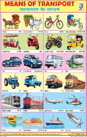 20x30 Inch Educational Wall Chart