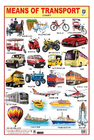 20x30 Inch Hard Laminated Chart