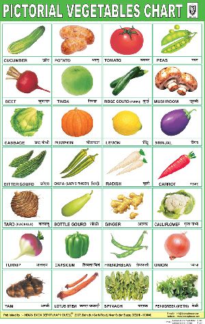 20x30 Inch Educational Wall Chart