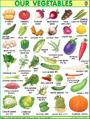 40x54 Inch Educational Wall Chart