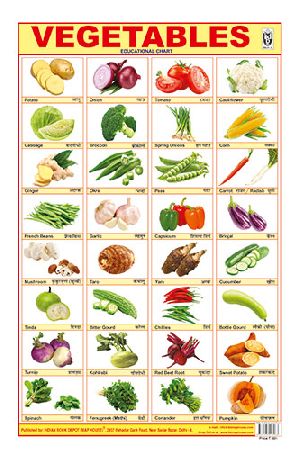 12x18 Inch Hard Laminated Chart