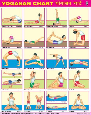22x28 Inch Educational Wall Chart