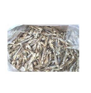 Dried Anchovies