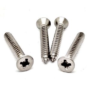 Steel Screw