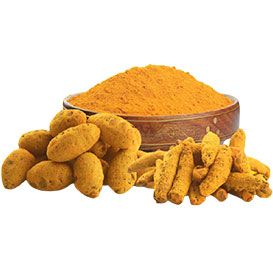 Erode Turmeric Finger