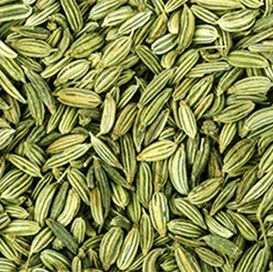 Gulf Quality Fennel Seeds