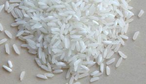 Raw Non Basmati Parmal Rice