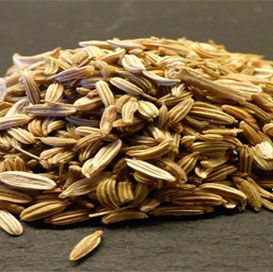 USA Quality Fennel Seeds