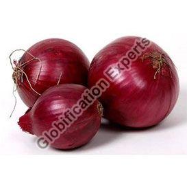 Banglore Rose Onion