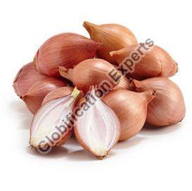 Shallot Onion