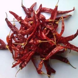 Wrinkled 273 Dried Red Chilli
