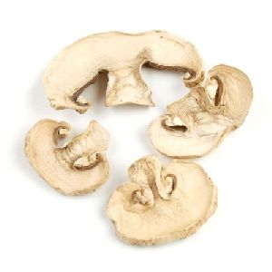 dried button mushroom