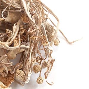 Dried Enoki Mushroom