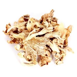 Dried Yellow Oyster Mushroom