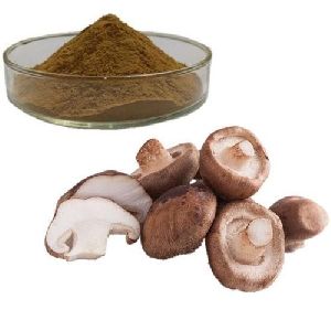 Shiitake Mushroom Powder