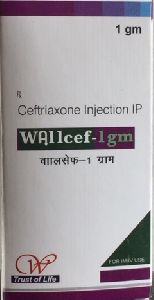 Wallcef 1gm Injection