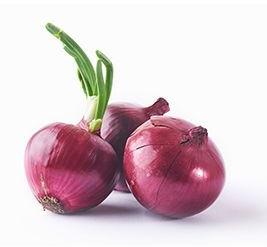 Fresh Onion