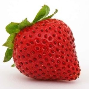 Fresh Strawberry