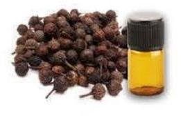 Cubeb Oil