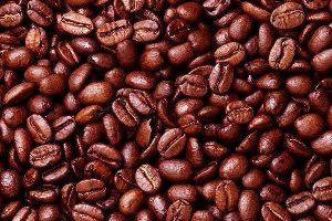 Robusta Coffee Beans