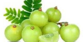 Amla Powder