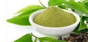 Green Tea Powder