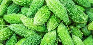 Karela Powder