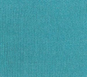 single jersey knitted fabric