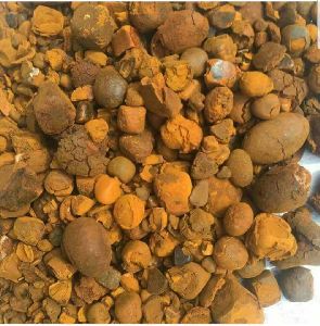 ox gallstone