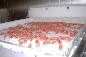 IQF Tunnel Freezer
