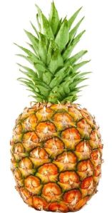 Fresh Pineapple