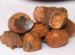 ox gallstone