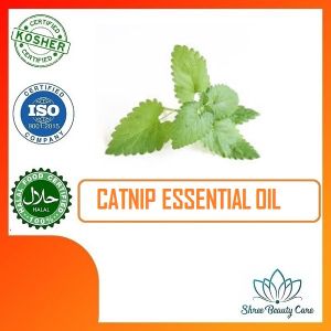 Catnip essential oil