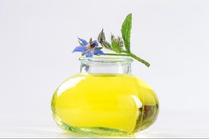 Borage Seed Carrier Oil