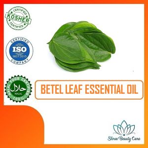 betel leaf essential oil