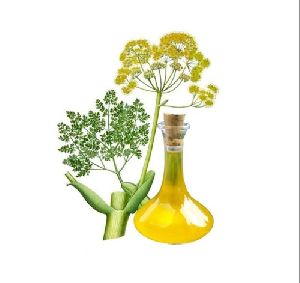 Galbanum Essential Oil