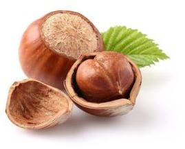 Hazelnut Carrier Oil