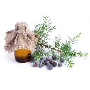 Juniper Berry Essential Oil