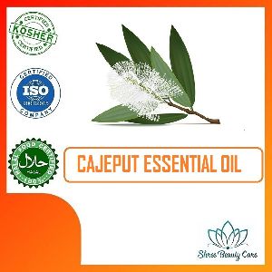 cajaput essential oil